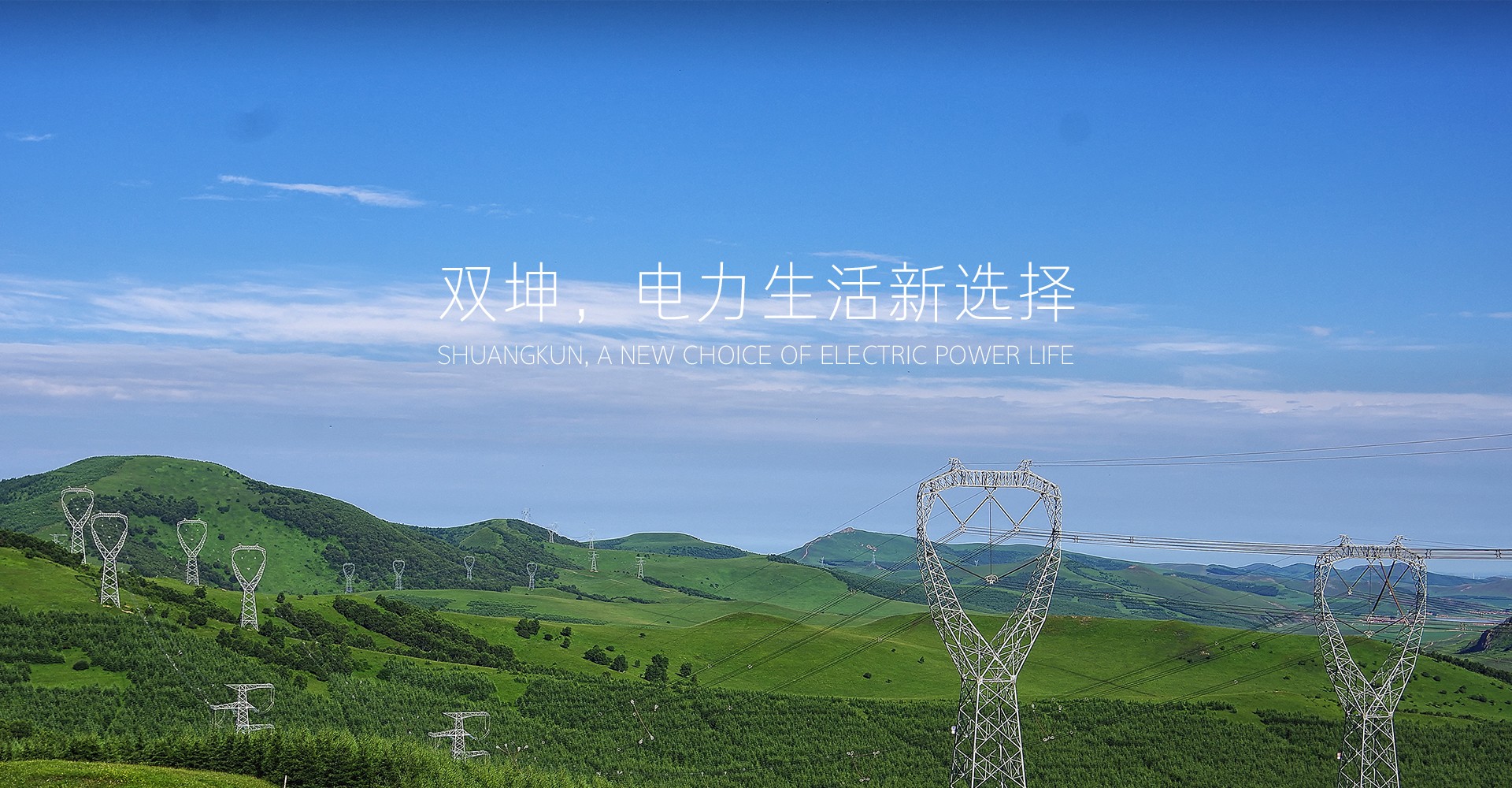 上海雙坤電氣科技有限公司